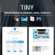 Tiny – Multipurpose Responsive Email Template