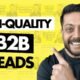 B2B Lead Generation: Generating High-Quality B2B Leads through Landing Pages