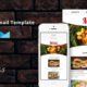 Taste – Restaurant Responsive Email Template