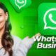 How To Use WhatsApp to Grow Your Business (+ ChatGPT Integration & Lead Generation Automation)