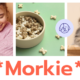 Morkie – Pet Shop and Pet Care Theme