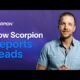 How Does Scorpion Report on Leads from Marketing Campaigns?