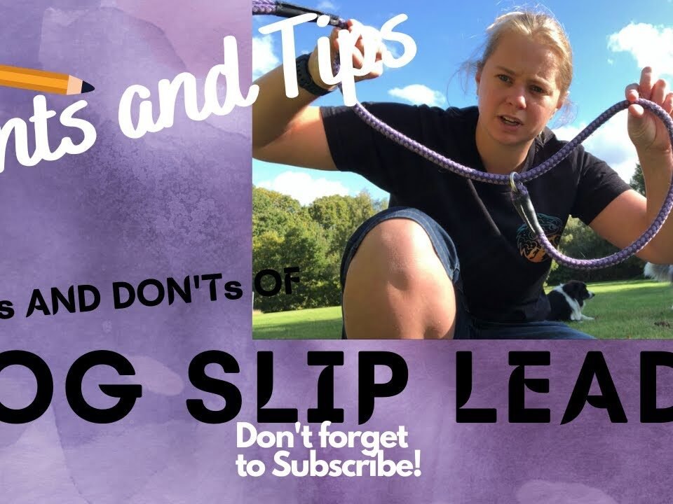 Do’s and Don’ts of Slip Leads