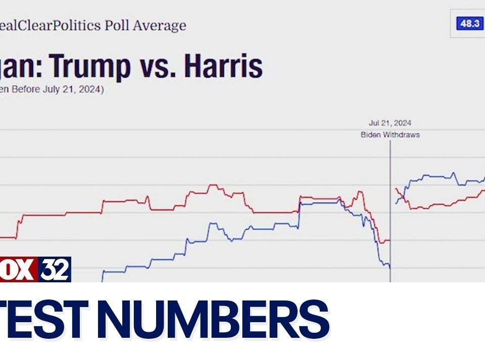 Presidential Election 2024: Who’s winning in the polls?