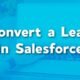 How to Convert a Lead in Salesforce | Convert into account contact opportunity | User Training